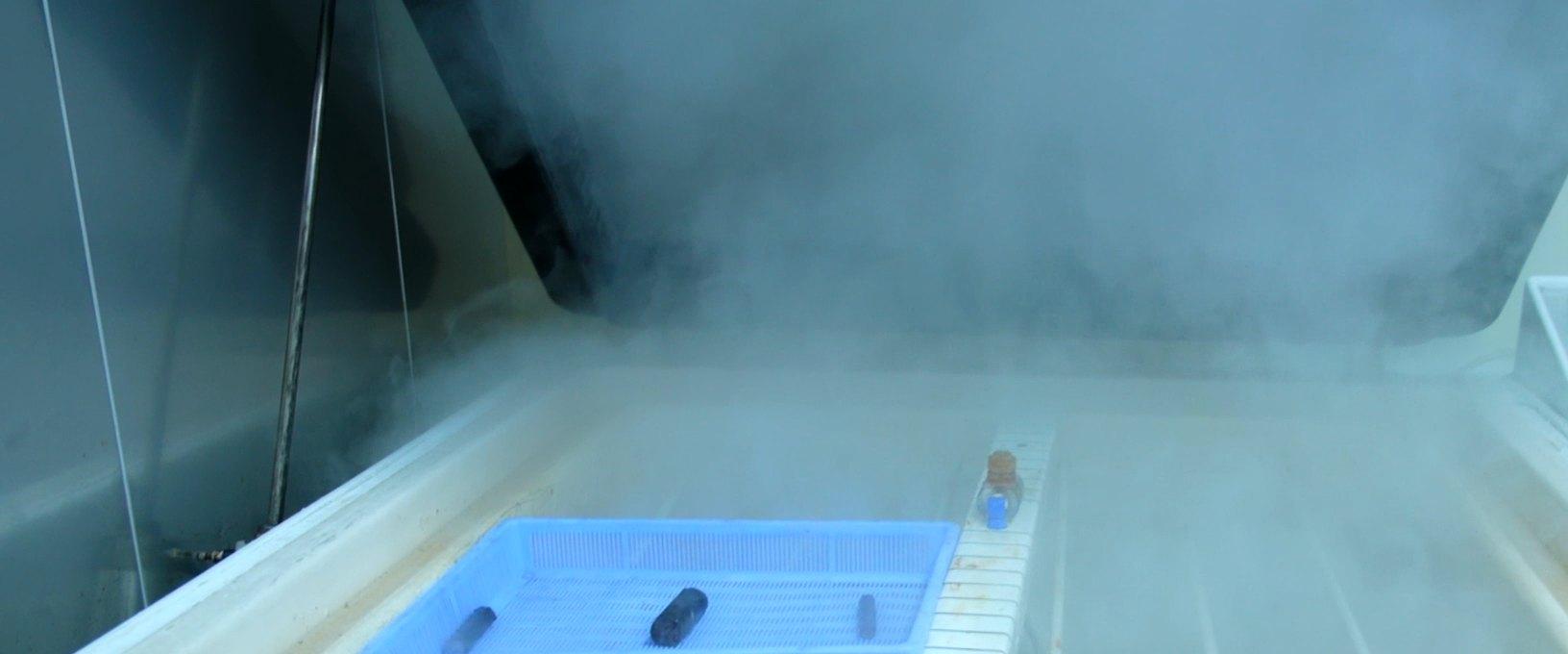 Samples inside the salt-spray corrosion chamber